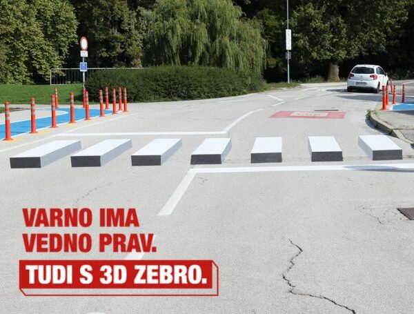 3d-zebra-1024x1024-1-600x600-1-jpg