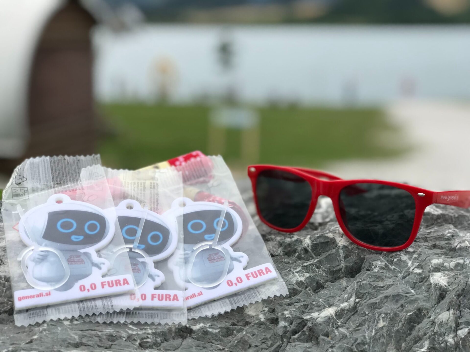 imgi_37_img_3524-scaled