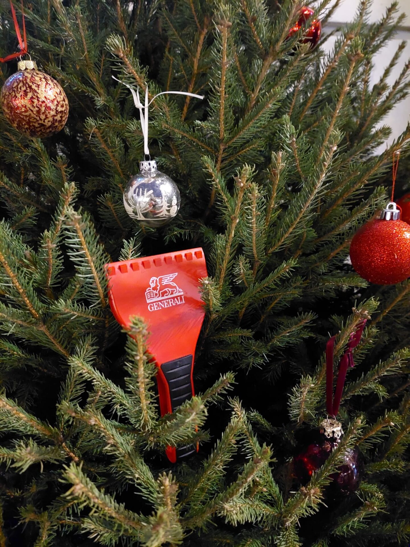 imgi_54_cncv_ljubljana_07122022-17